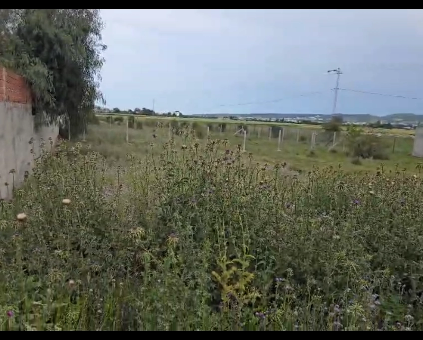 Un terrain de 1000 m2 sur la route principale