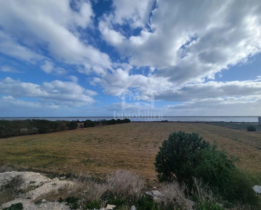 Terrain pieds dans l'eau de 3333 m² à korba à vendre 51355351