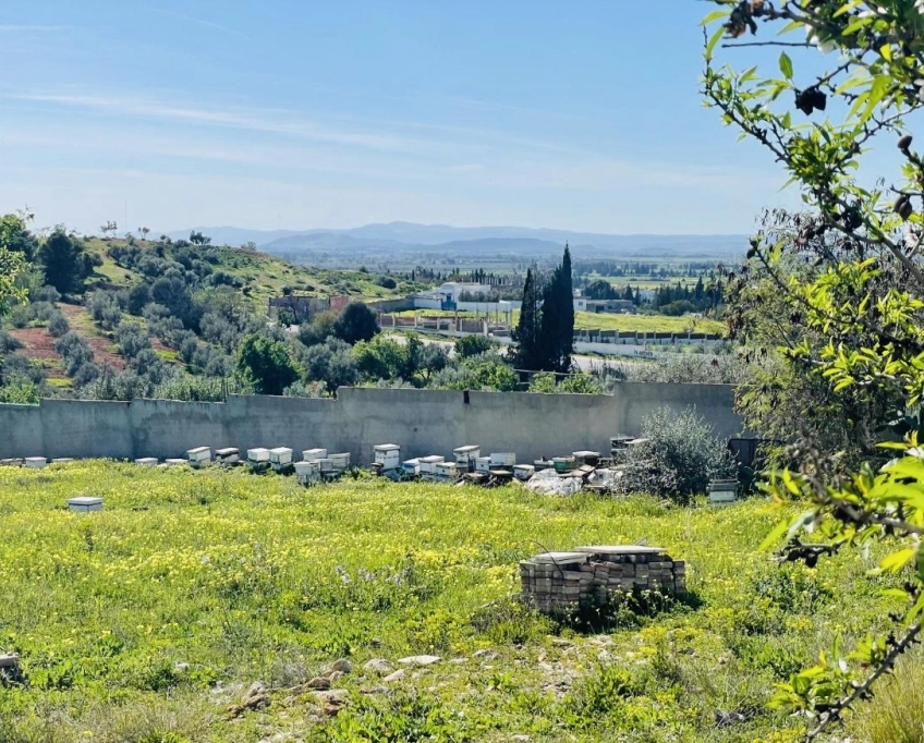Villa d’exception sur 3 150 m² – panorama à perte de vue – djebel ammar, sidi thabet, l’ariana