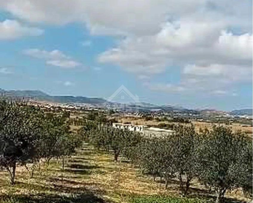 Terrain de 400 m² avec vue de mer à hammamet sud à vendre 51355351