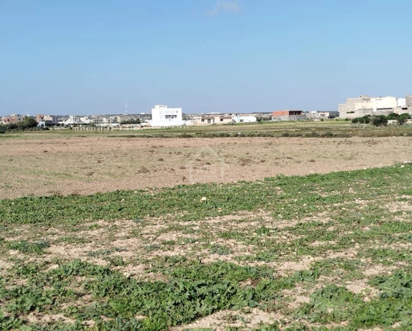 Un terrain de 669 m² à maamoura à vendre 51355351