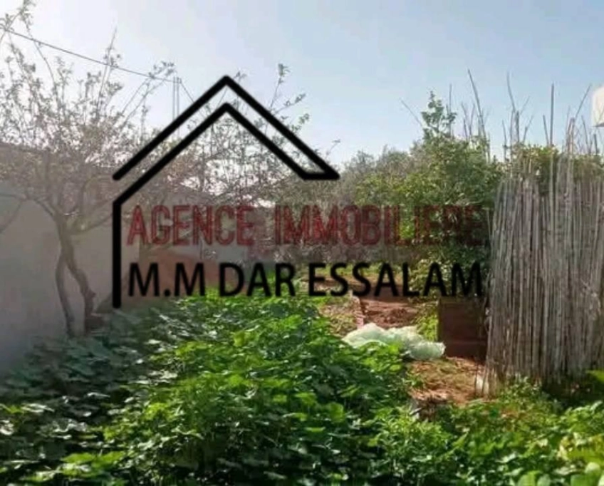 Villa avec un grand jardin près de la mer à vendre