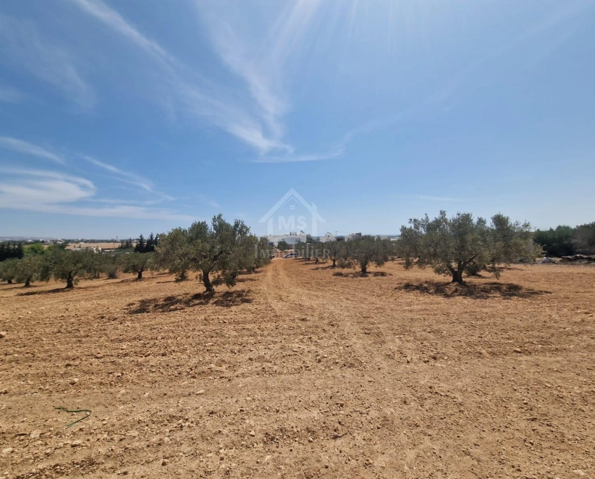 Terrain de 4018 m² à vendre à 200 dt/m² à hammamet sud 51355351