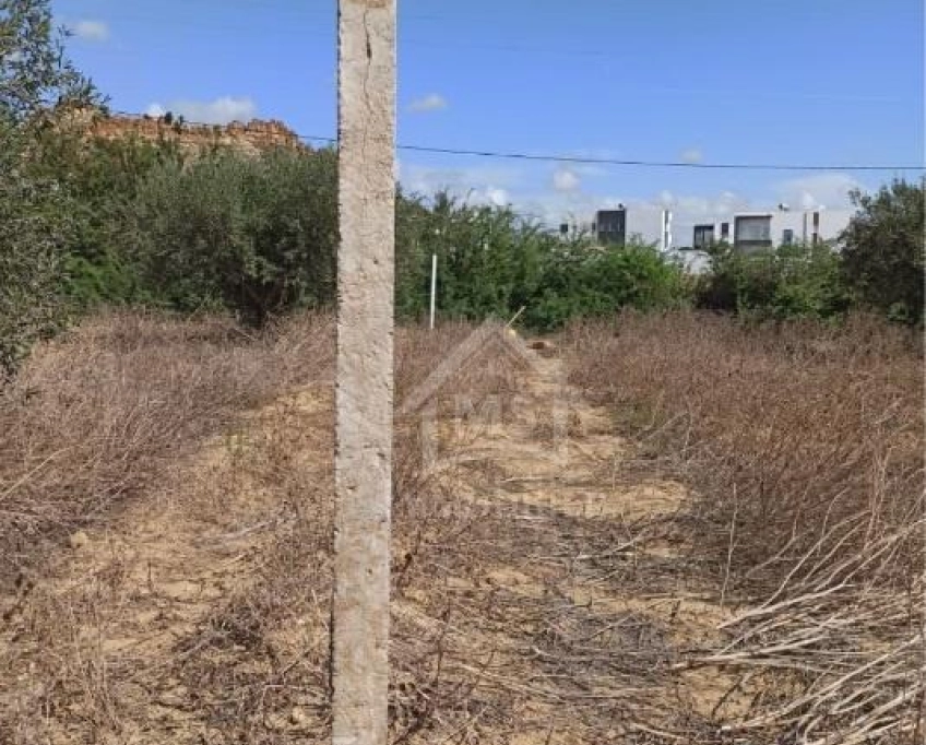 Terrain de 300 m² à hammamet sud à vendre 51355351