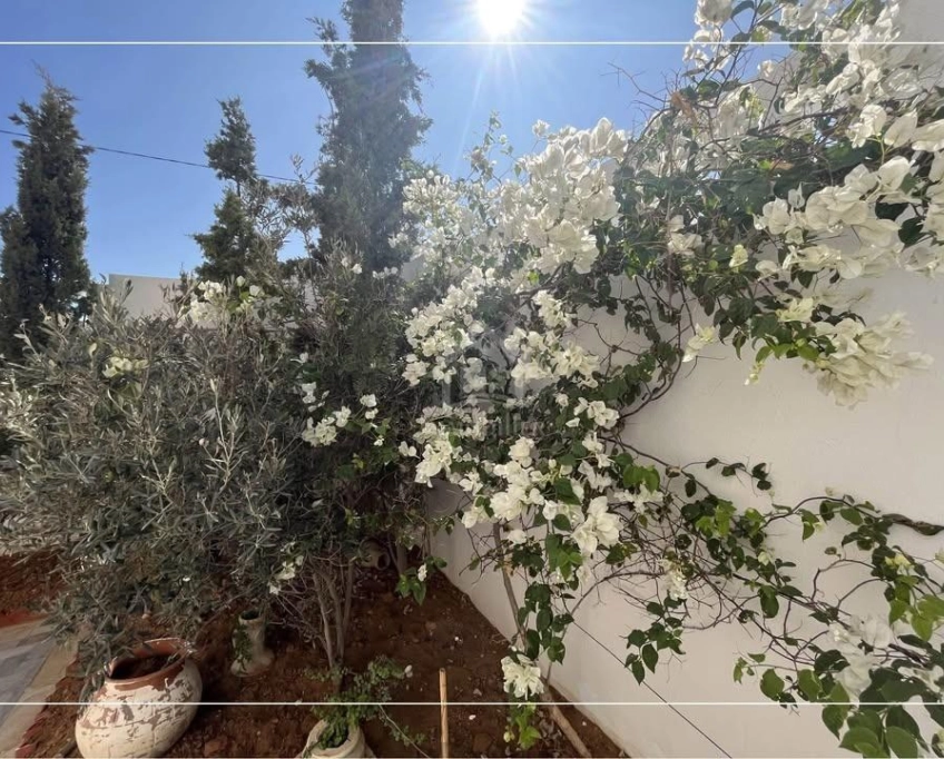 Belle villa avec jardin à hammamet sud à vendre 51355351