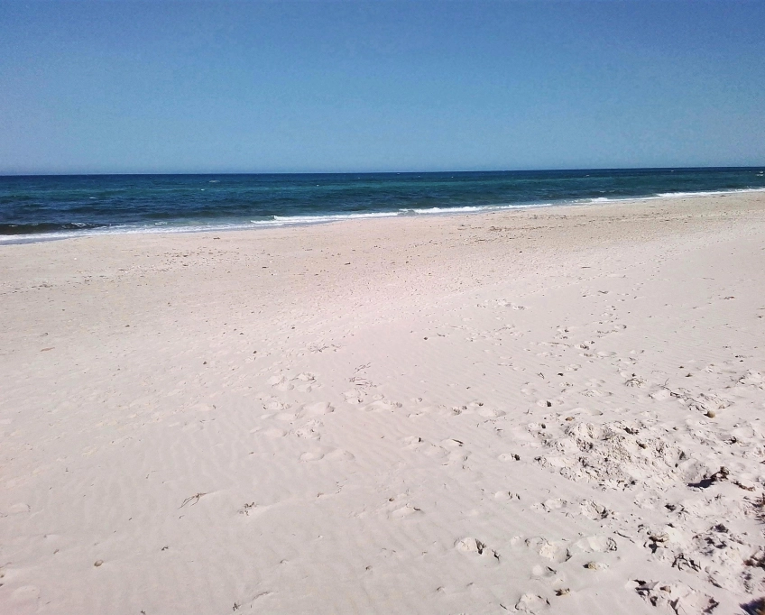 منزل مؤثث ، في قصور الساف في ولاية المهدية ، للكراء باليوم