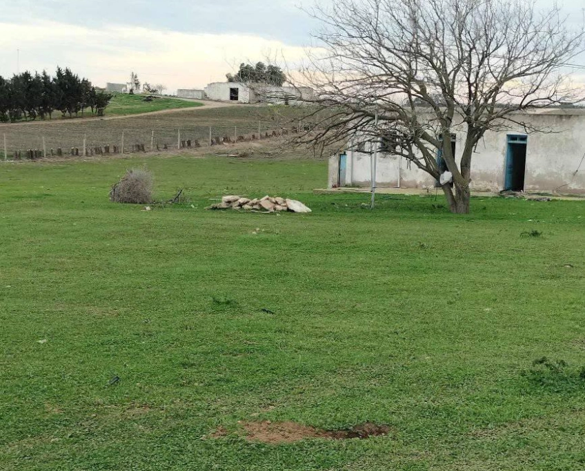 Terrain agricole près de la mer à vendre