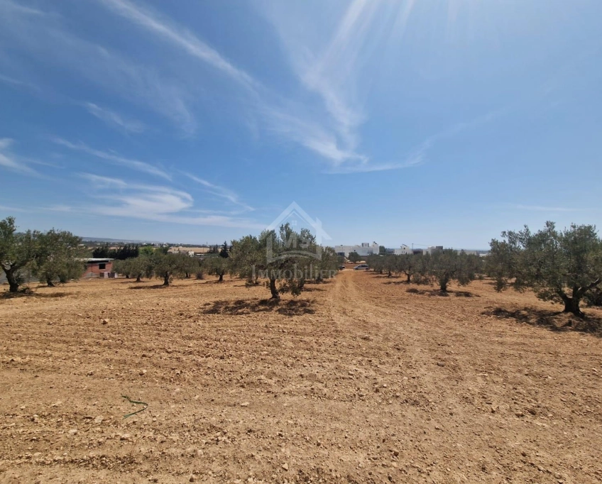 Terrain de 4018 m² à vendre à 200 dt/m² à hammamet sud 51355351