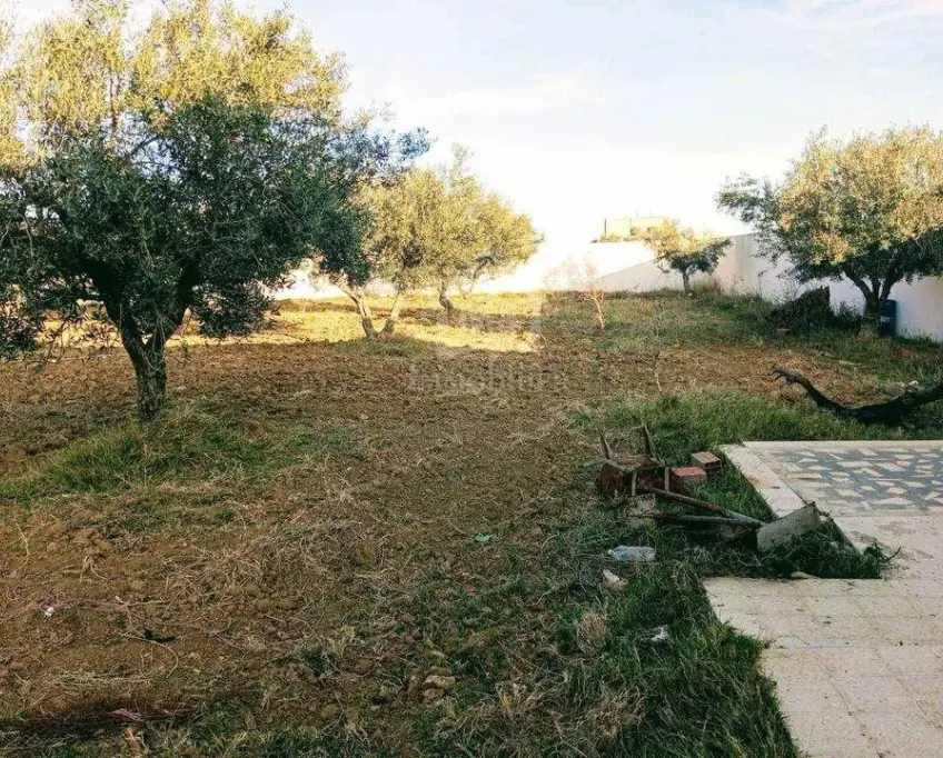 Un terrain de 2100 m² avec 1 studio à hammamet sud à vendre 51355351