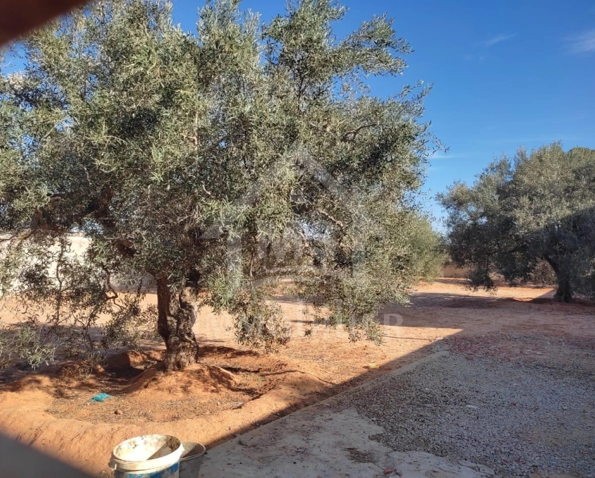 Terrain clôturé de 876 m² à hammamet sud à vendre 51355351