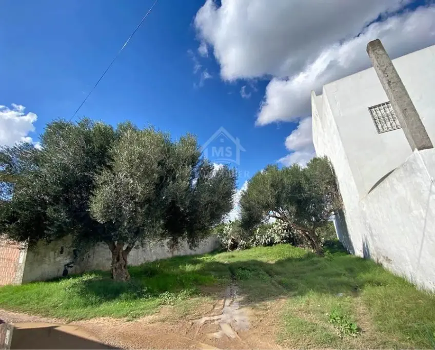 Lot de terrain de 250 m² à hammamet à vendre 51355351