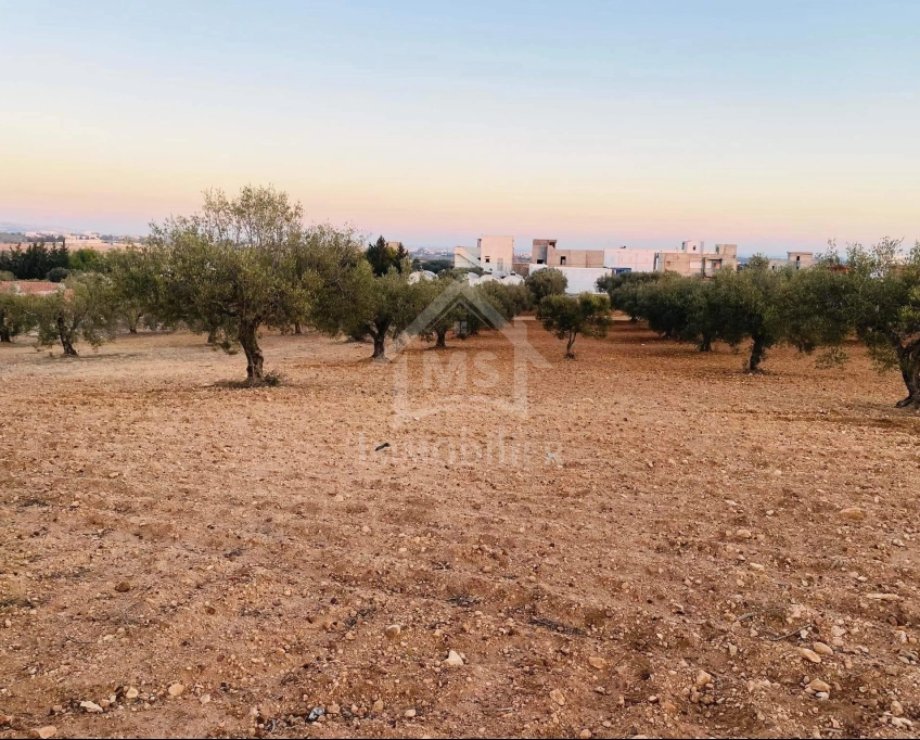 Terrain de 4018 m² à vendre à 200 dt/m² à hammamet sud 51355351