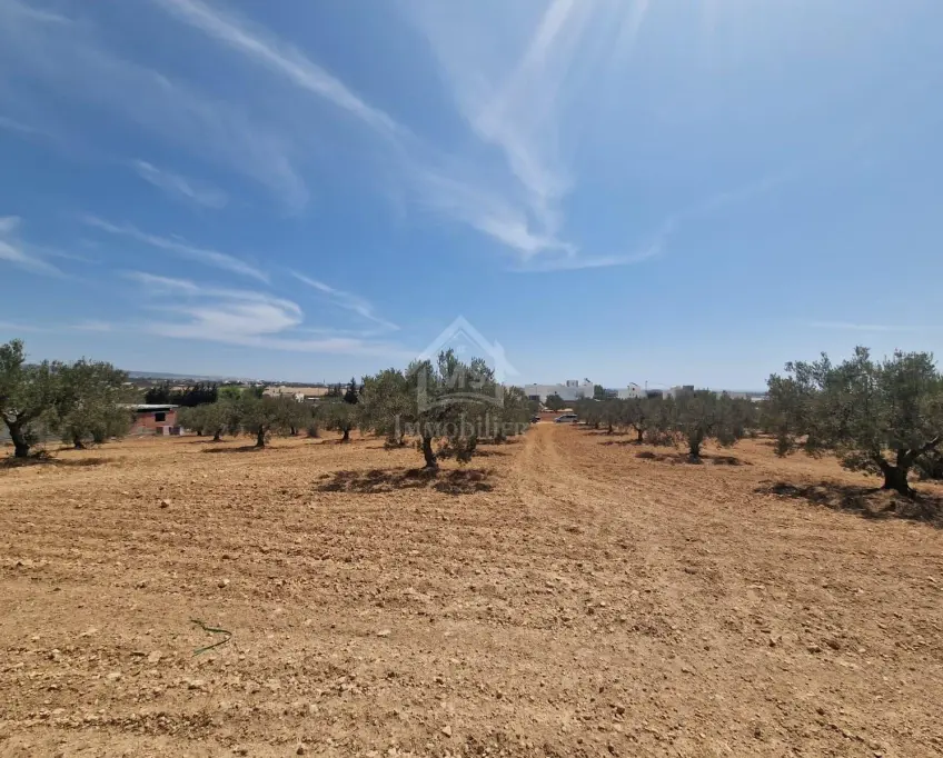 Terrain de 4018 m² à vendre à 200 dt/m² à hammamet sud 51355351