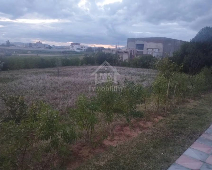 2 duplex jumelés à hammamet sud à vendre 51355351