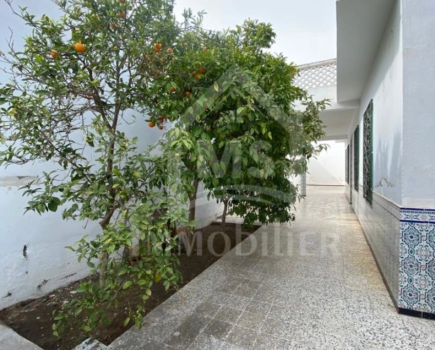 Maison arabesque s+3 avec patio et jardin à vendre 51355351