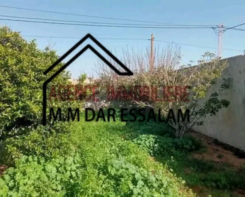 Villa avec un grand jardin près de la mer à vendre