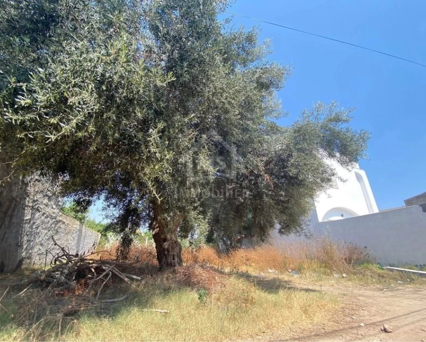 Lot de terrain de 250 m² à hammamet à vendre 51355351