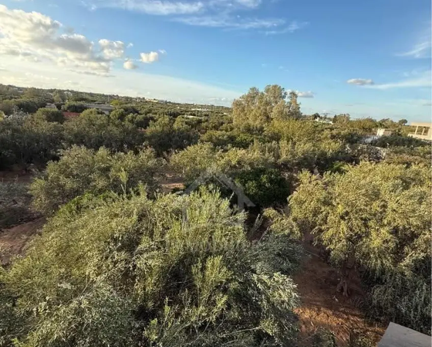 Terrain de 500 m² à daroufaa à vendre 51355351