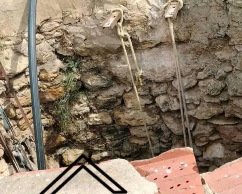 Terrain agricole contenant plusieurs arbres à vendre