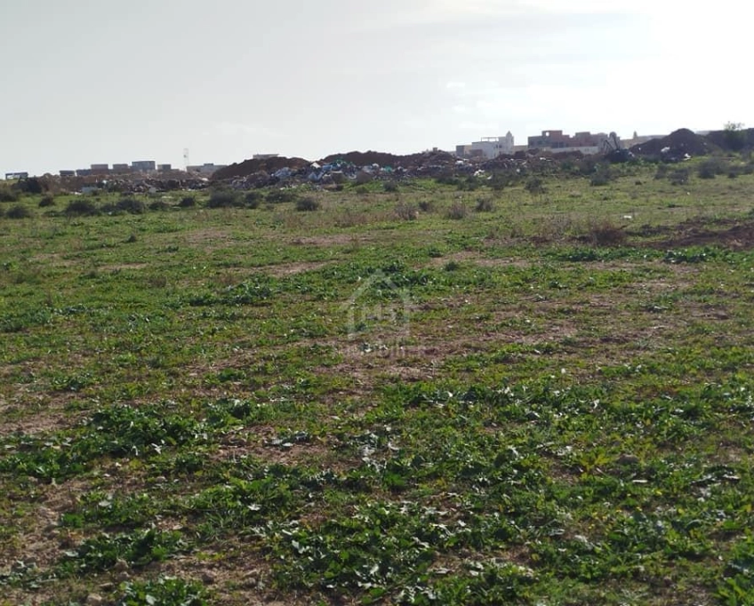 Un terrain de 669 m² à maamoura à vendre 51355351