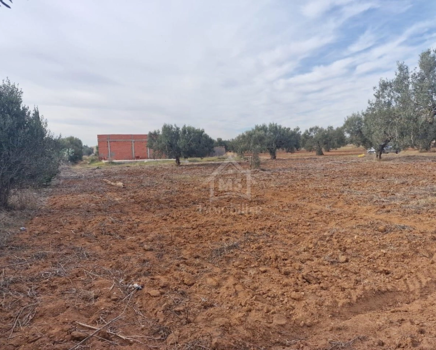 Terrain de 970 m² à hammamet sud à vendre à 230 md 51355351