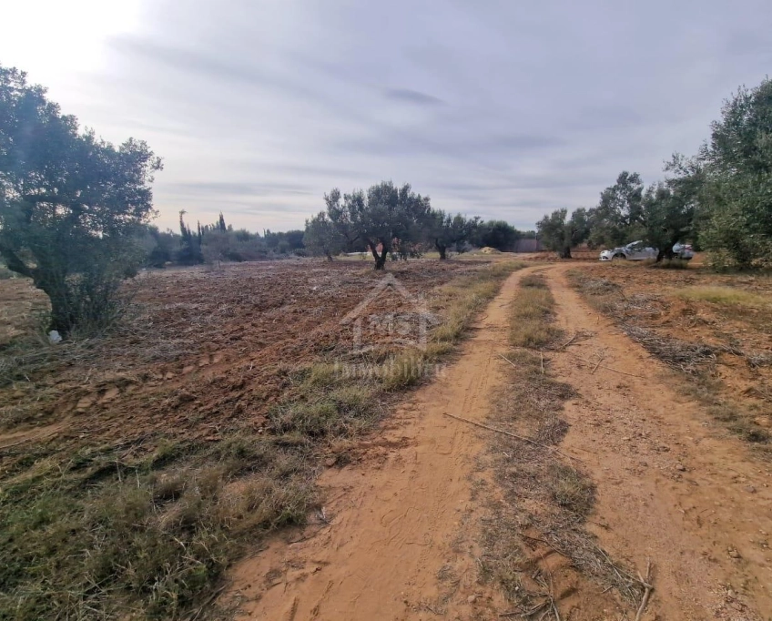 Terrain de 970 m² à hammamet sud à vendre à 230 md 51355351