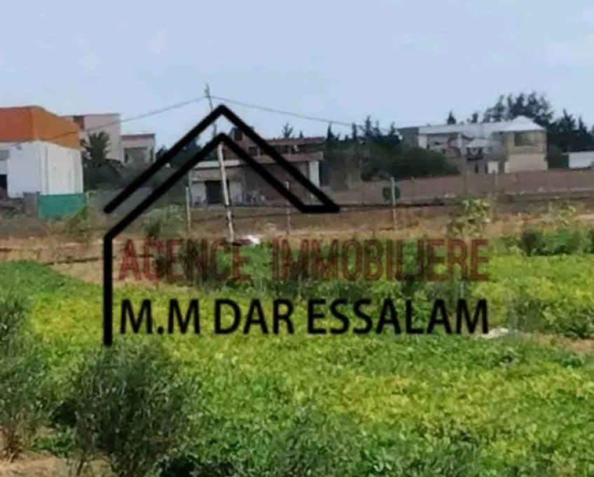 Terrain agricole contenant plusieurs arbres à vendre