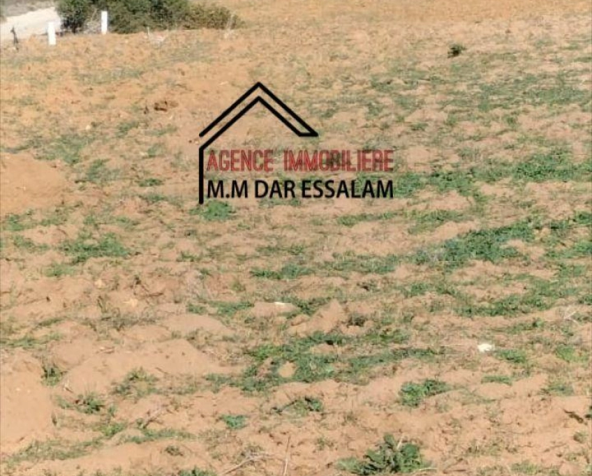 Terrain agricole près de la mer