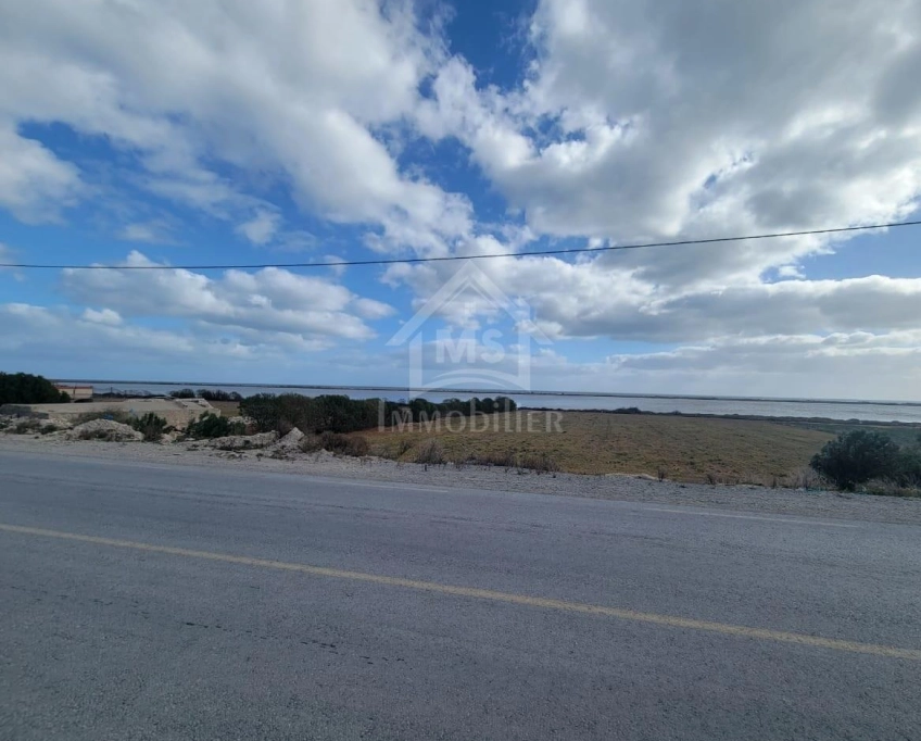 Terrain pieds dans l'eau de 3333 m² à korba à vendre 51355351