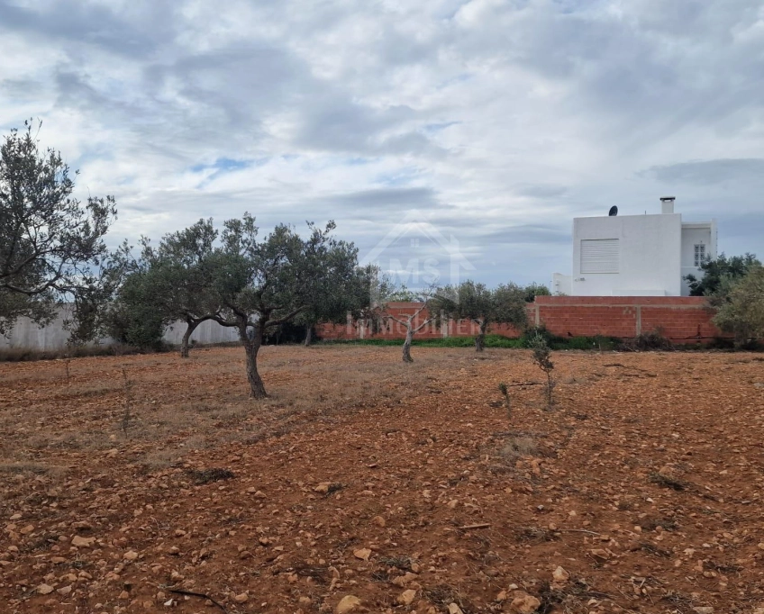 Terrain vue de mer de 2000 m² à daroufa à vendre 51355351