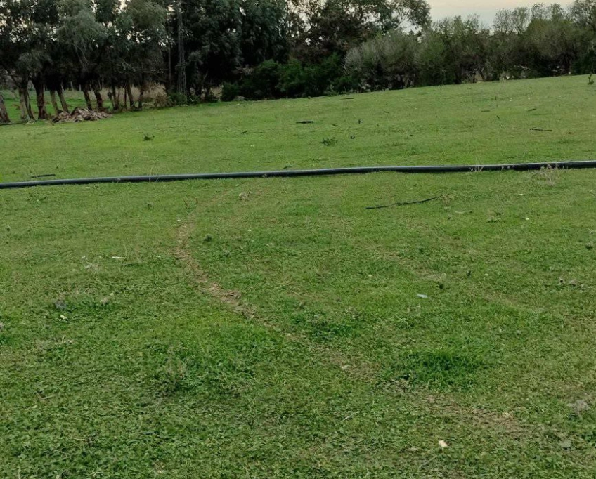 Terrain agricole près de la mer à vendre