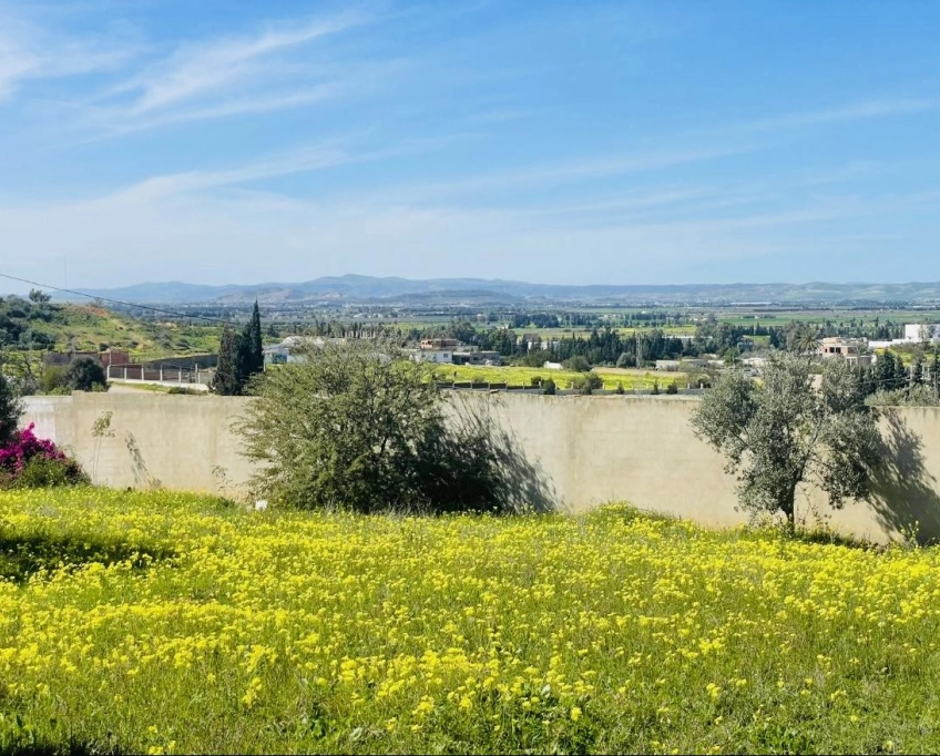 Villa d’exception sur 3 150 m² – panorama à perte de vue – djebel ammar, sidi thabet, l’ariana