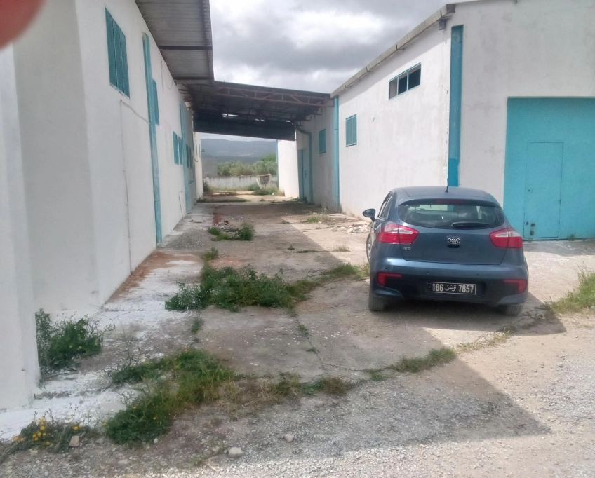 Usine à grombalia avec terrain