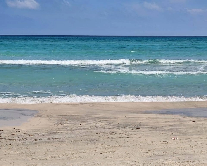 Une grande villa près de la mer à vendre