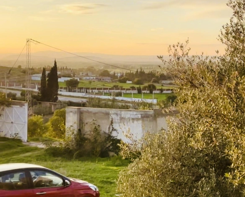 Villa d’exception sur 3 150 m² – panorama à perte de vue – djebel ammar, sidi thabet, l’ariana