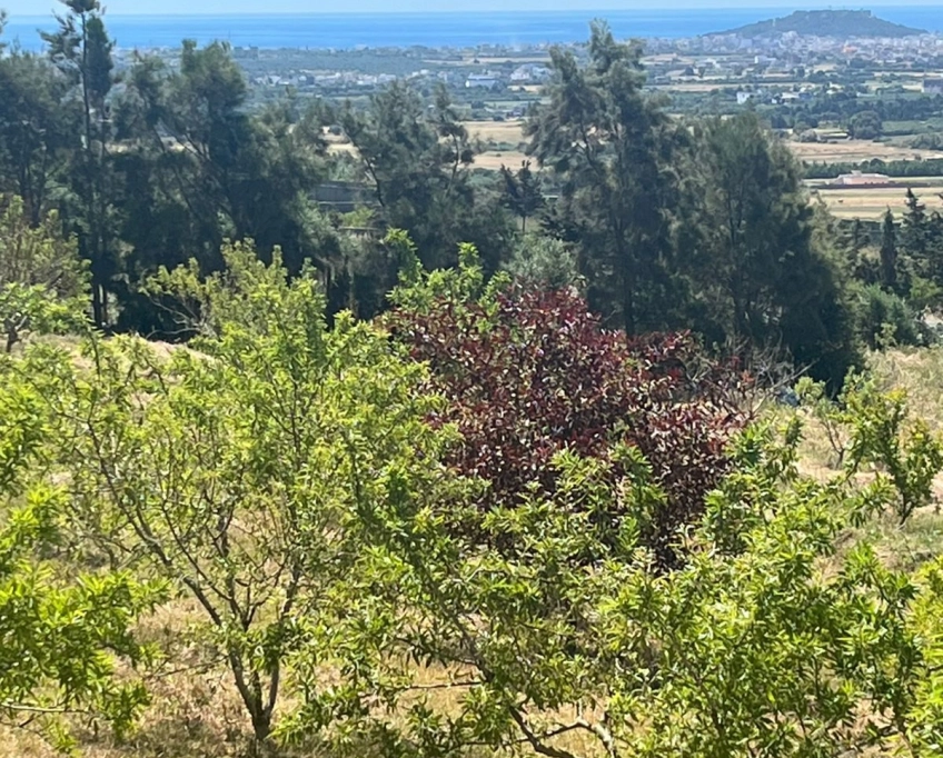 Terrain avec une vue agréable