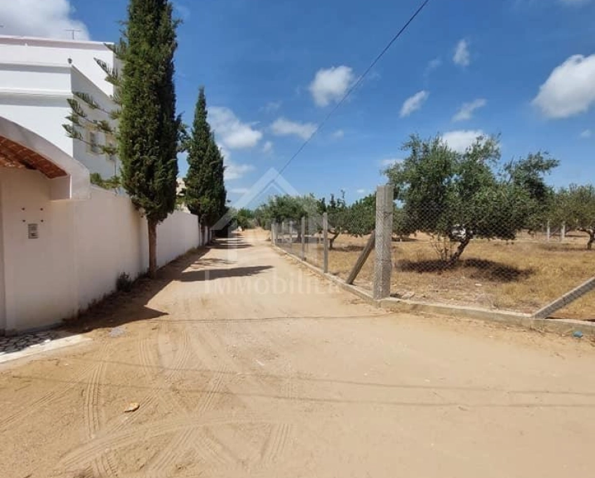 Terrain viabilisé de 600 m² à vendre à hammamet 51355351