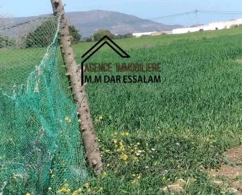 Terrain bonne occasion à vendre