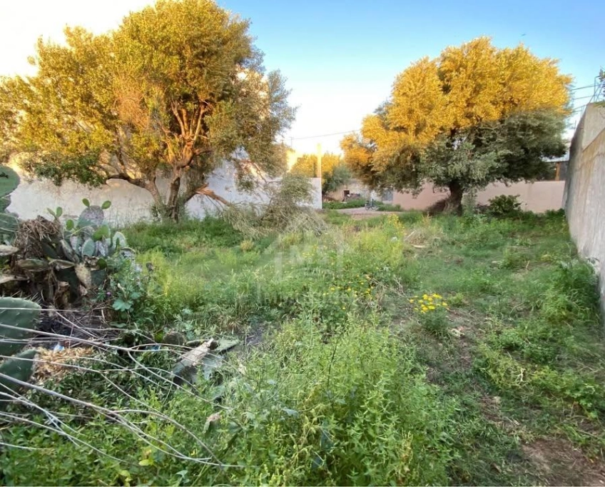 Lot de terrain de 250 m² à hammamet à vendre 51355351