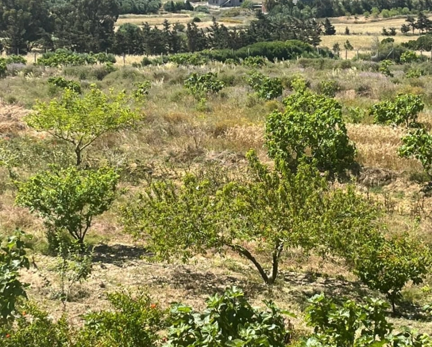 Terrain avec une vue agréable - Photo 9