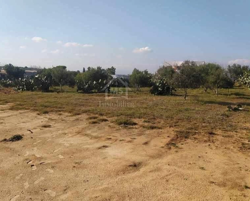 Terrain de 1932 m² à birbouragba à vendre 51355351