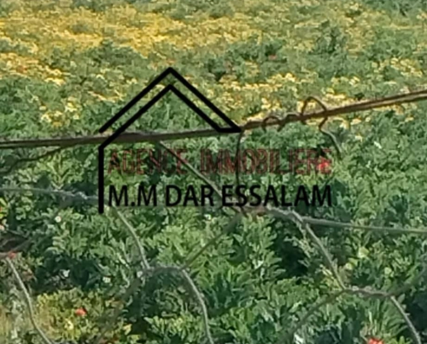 Terrain agricole contenant une maison à vendre