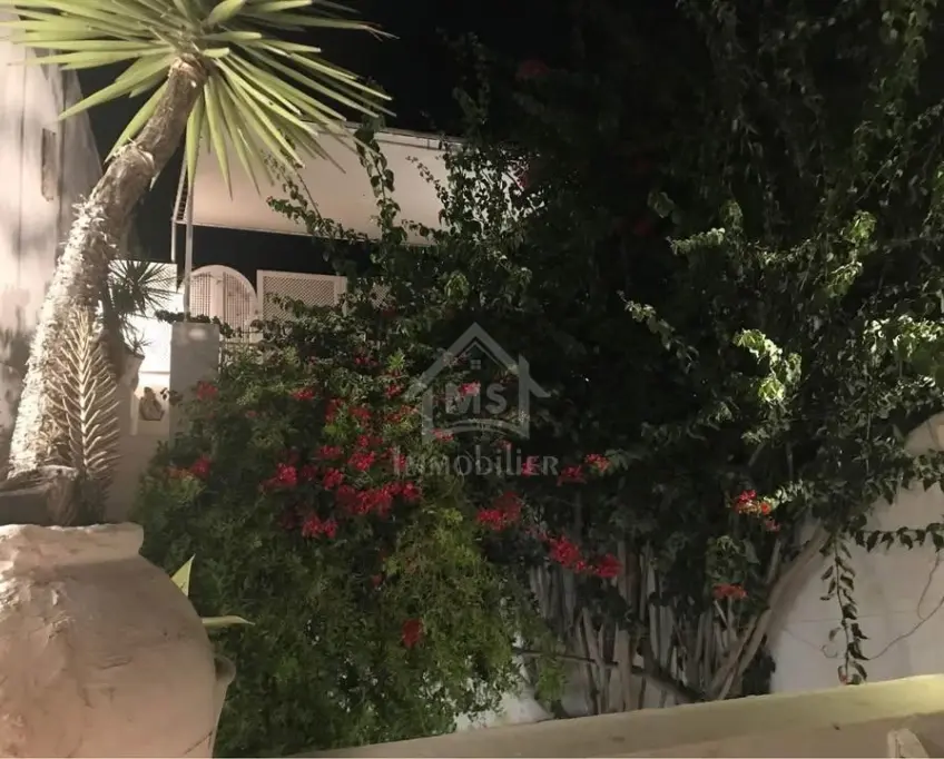Maison arabe s+2 meublée à vendre à hammamet centre ville 51355351