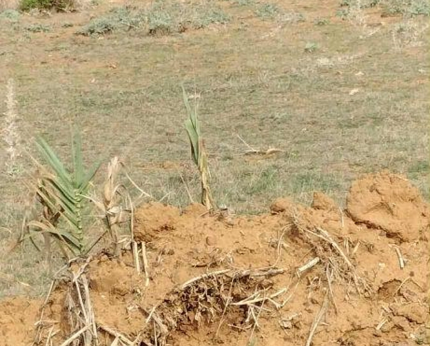 Terrain près de la mer à vendre