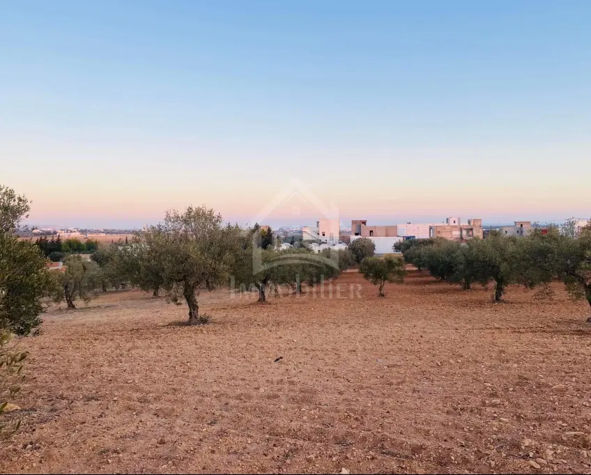 Terrain de 4018 m² à vendre à 200 dt/m² à hammamet sud 51355351