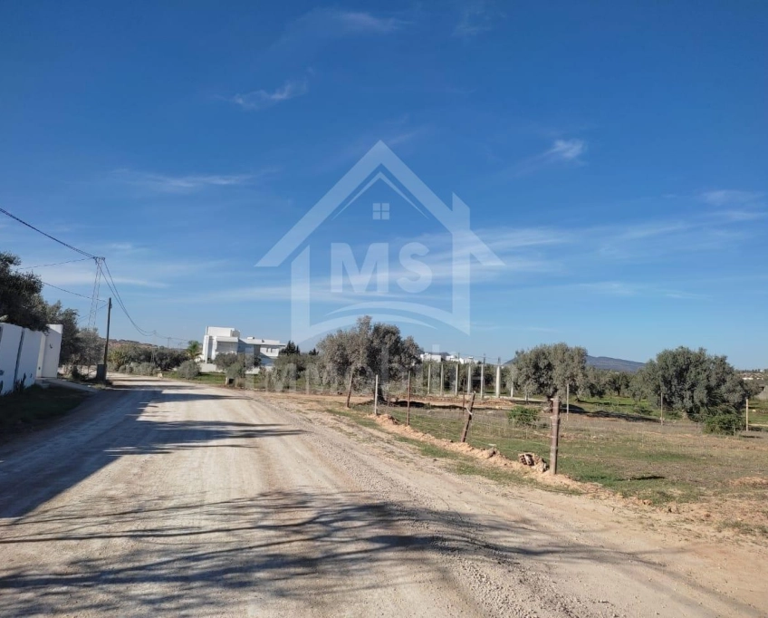 Terrain clôturé de 876 m² à hammamet sud à vendre 51355351
