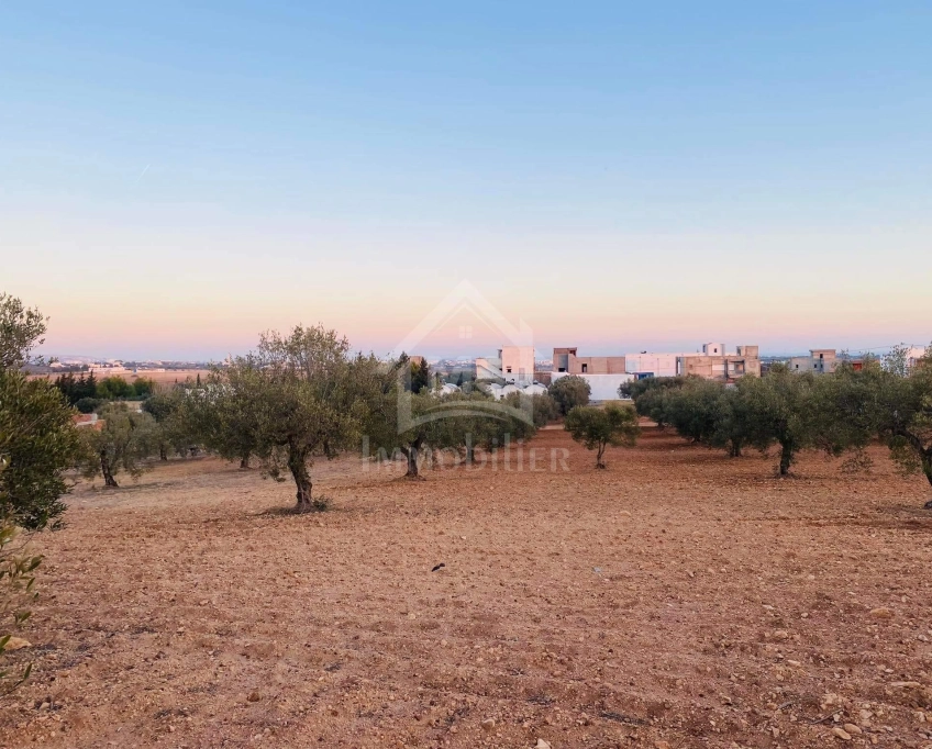 Terrain de 4018 m² à vendre à 200 dt/m² à hammamet sud 51355351