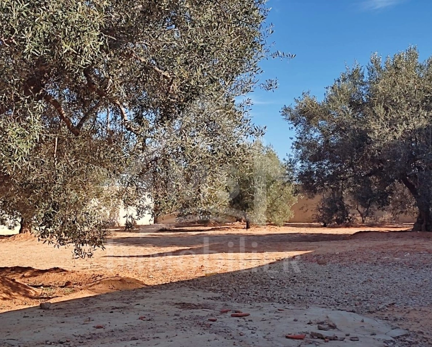 Terrain clôturé de 876 m² à hammamet sud à vendre 51355351