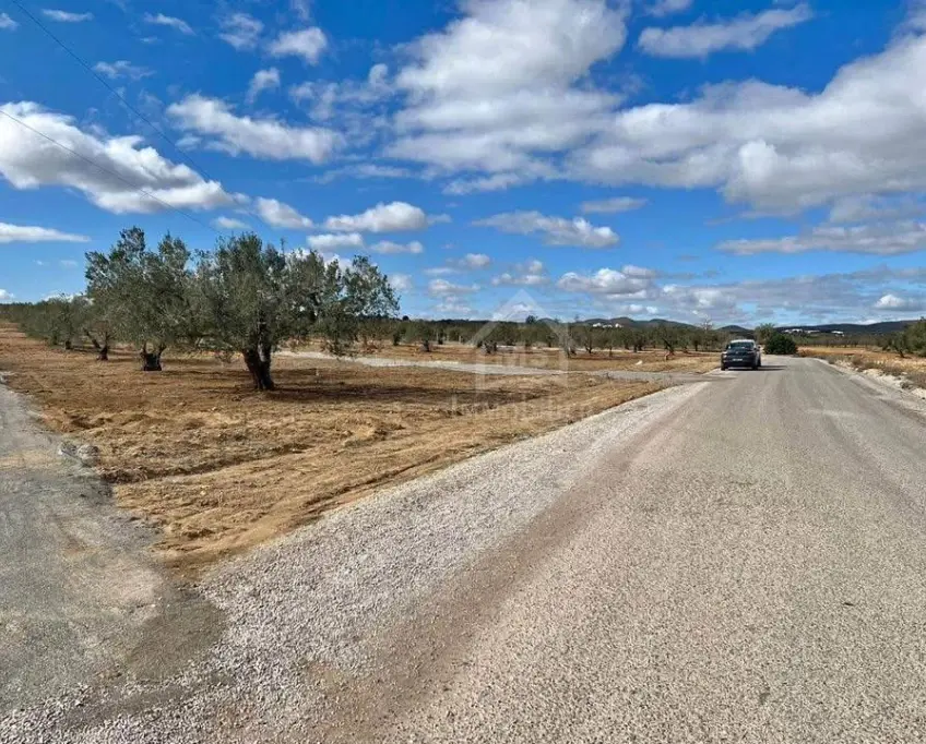 Terrain de 3789 m² à hammamet sud à vendre 51355351