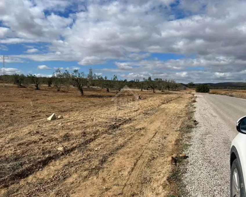 Terrain de 3789 m² à hammamet sud à vendre 51355351